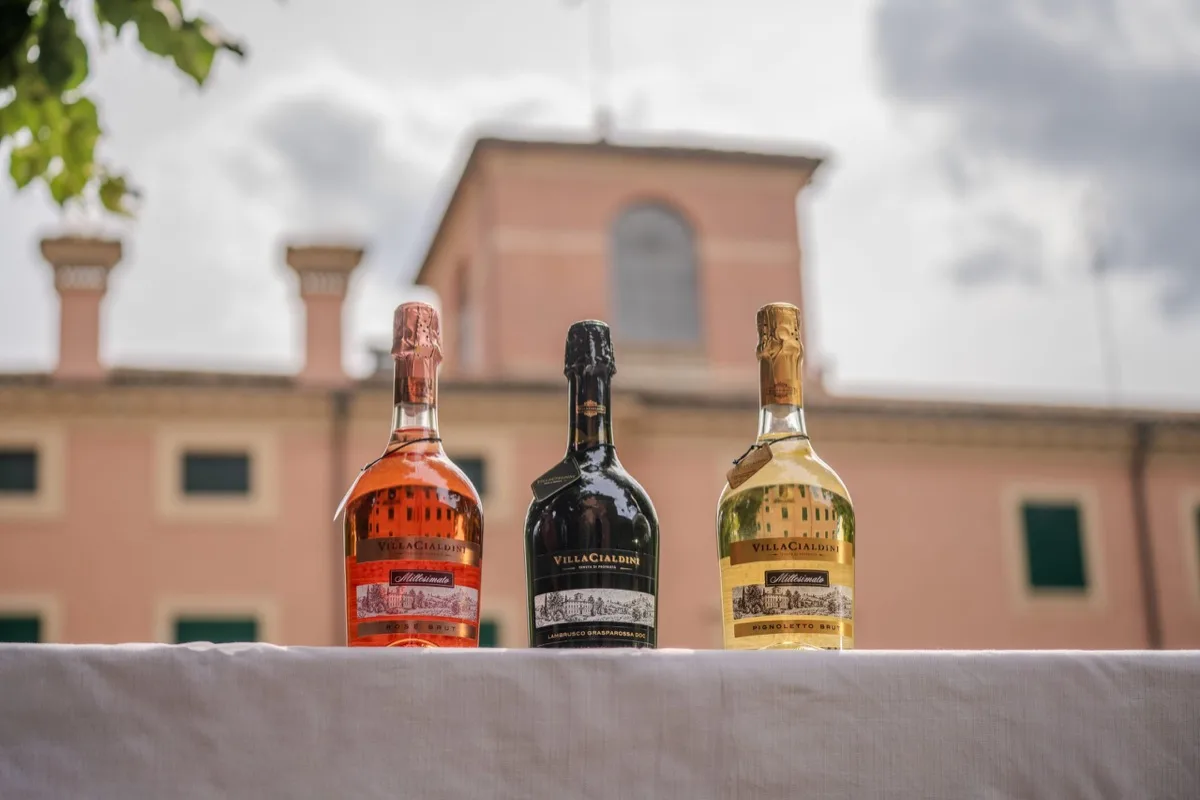 Degustazione Guidata
