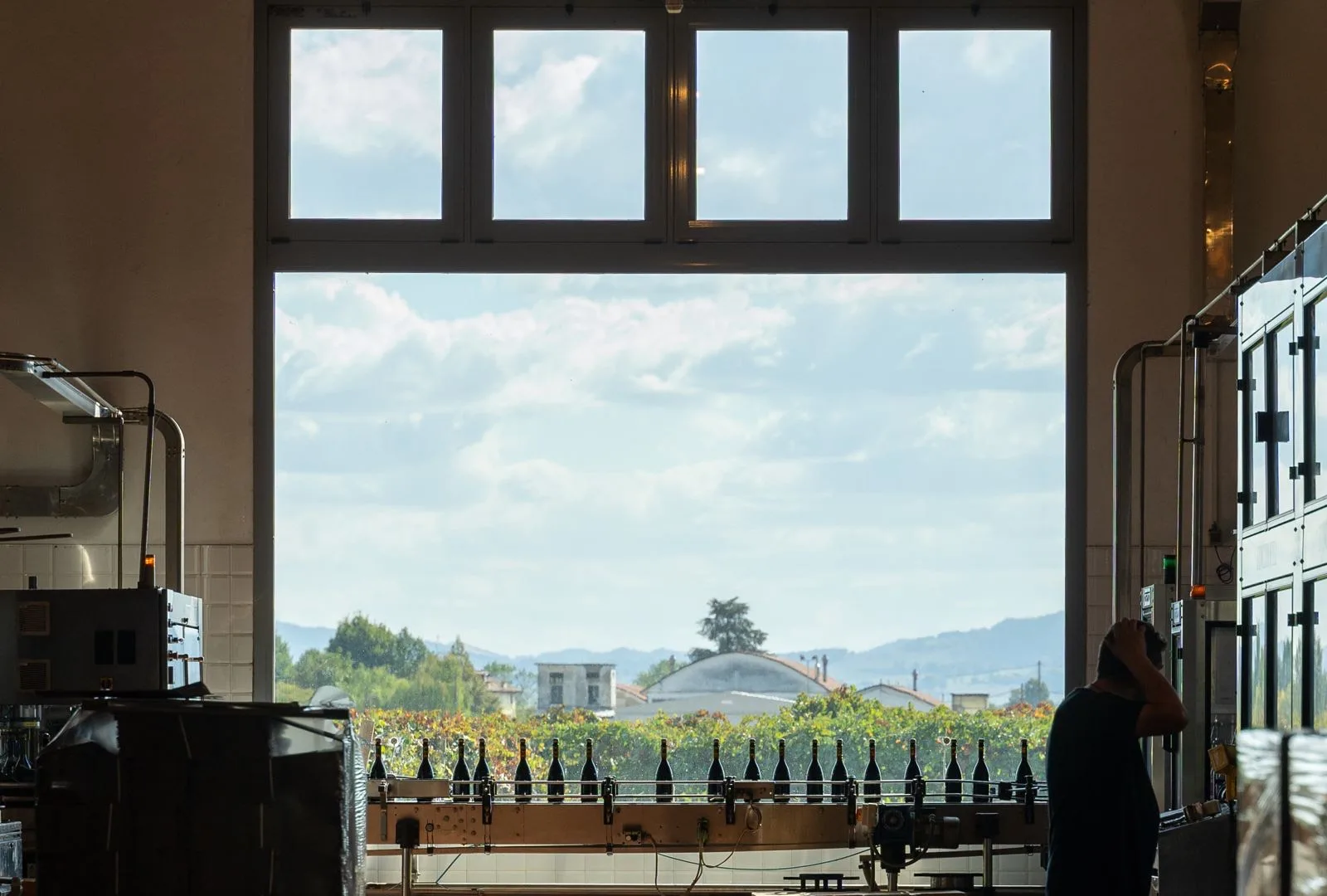Processo di vinificazione