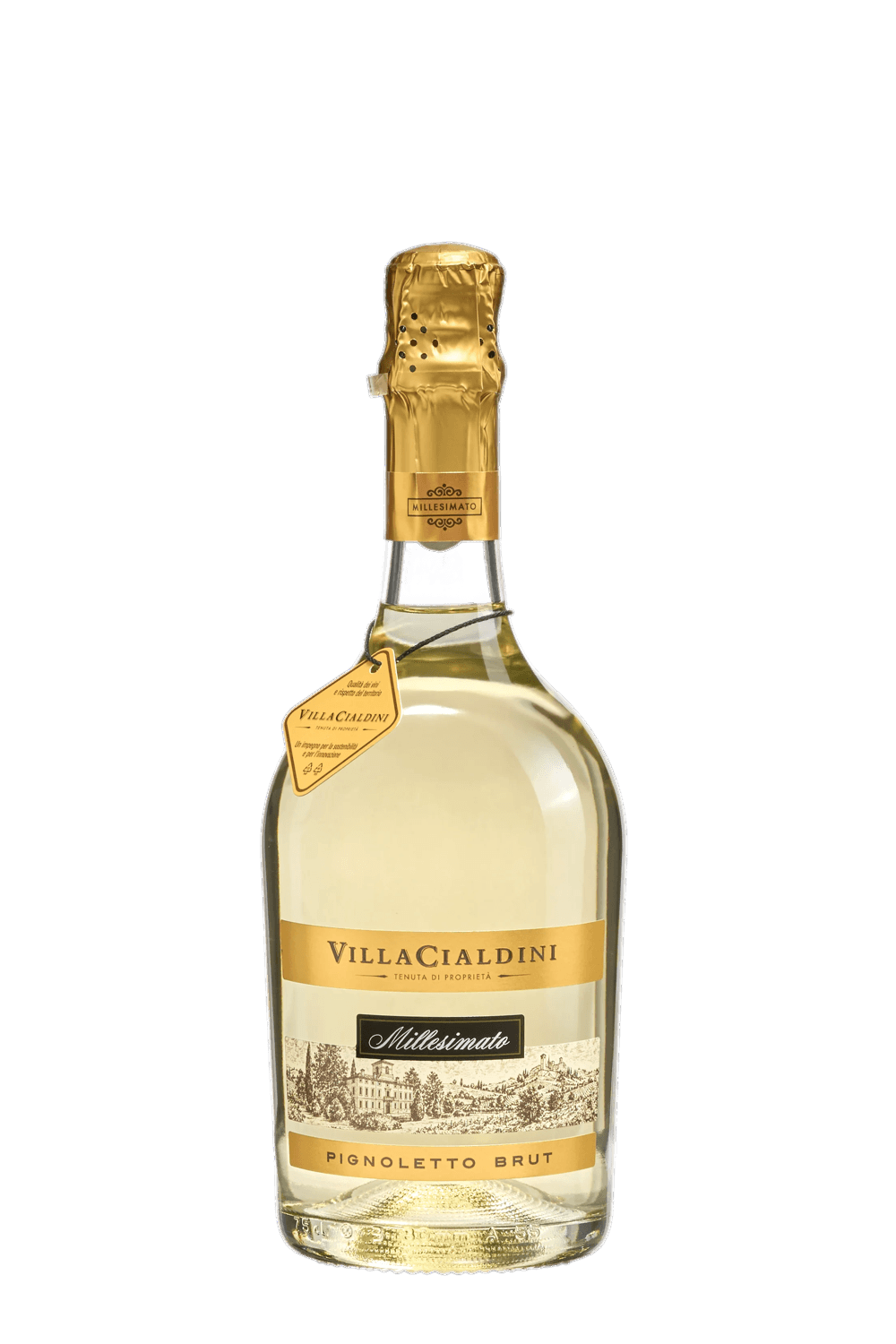 Villa Cialdini