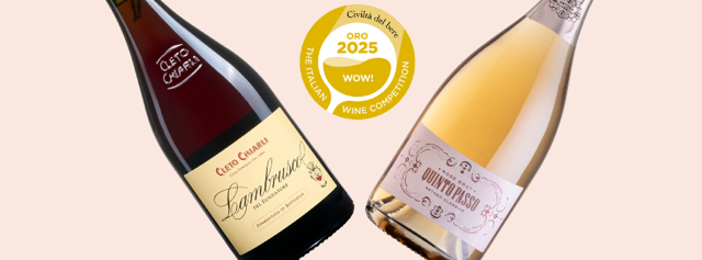 Quintopasso Rosé 2017 premiato con l’oro a WOW! 2025